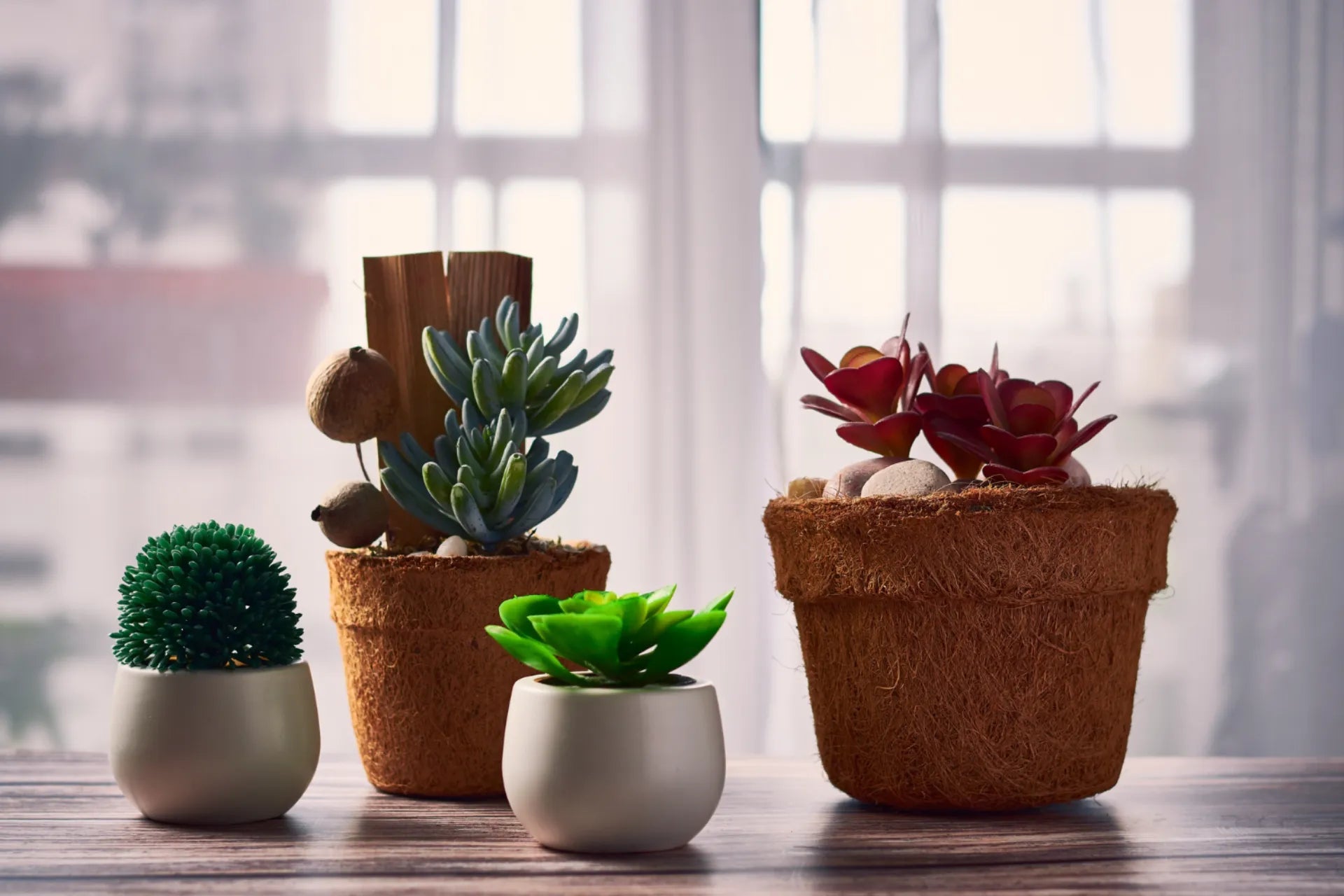 Decorative Planters