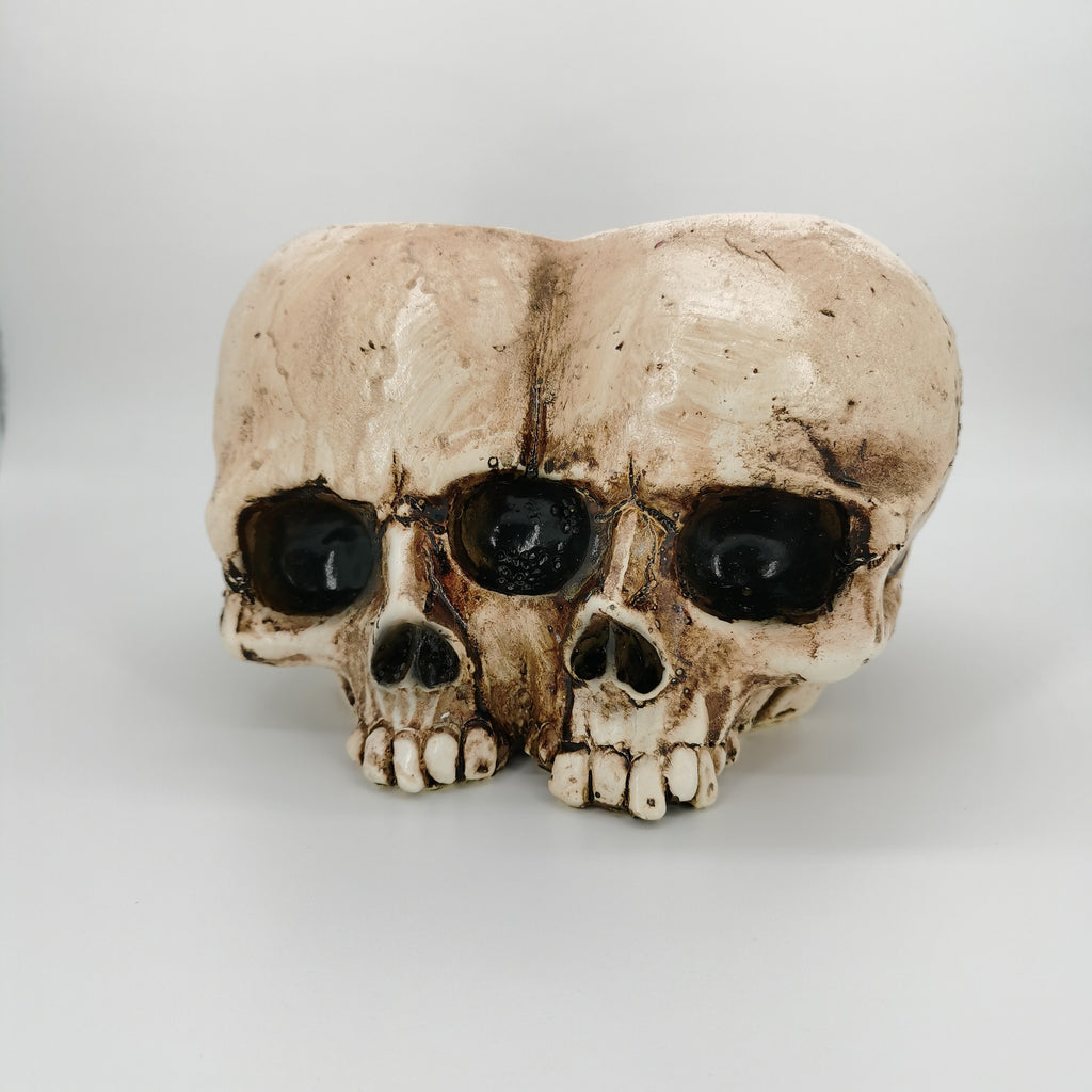 Halloween Skull Resin Planter Ornament – European Style Decorative Skull Pot