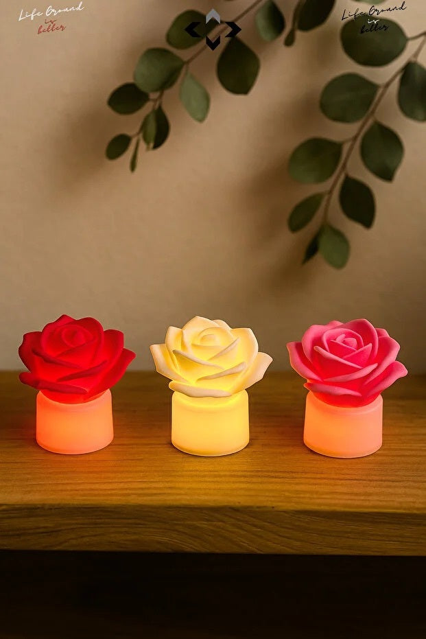 Valentine Special   3-Piece Mini LED Rose Pattern Night Light Set – Romantic Wireless Table Lamps