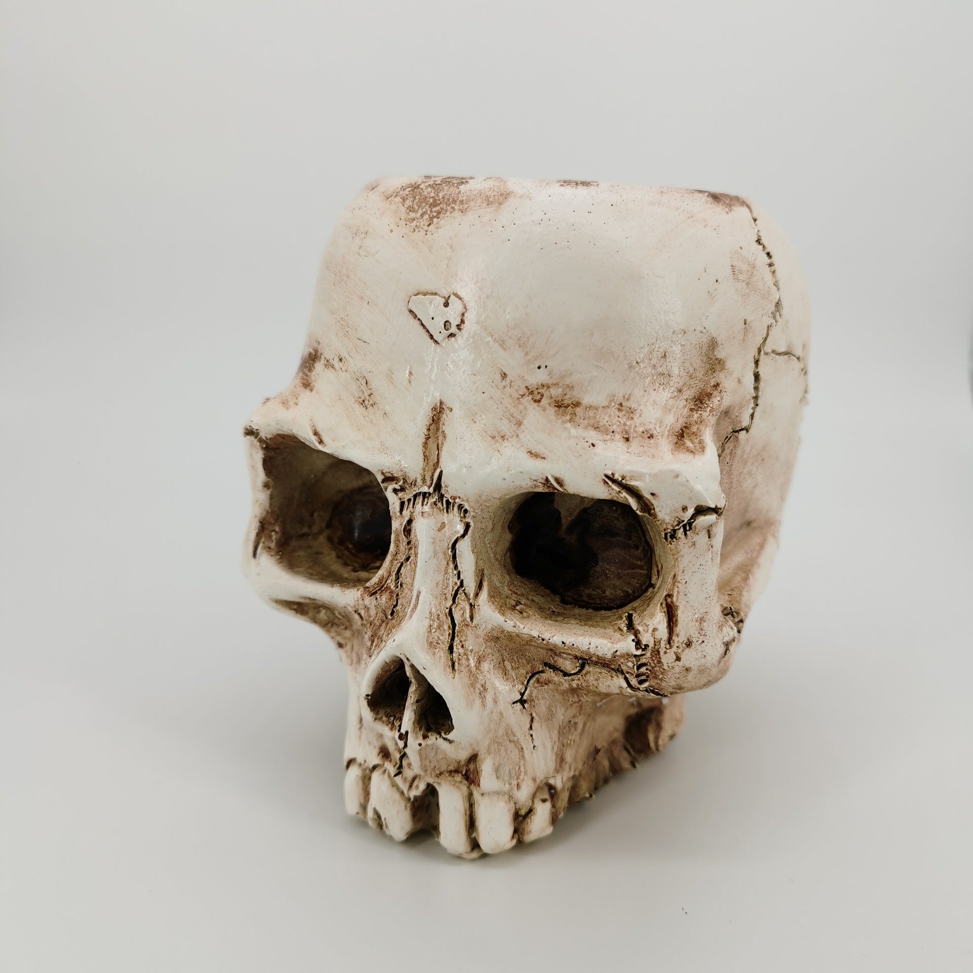 Halloween Skull Resin Planter Ornament – European Style Decorative Skull Pot