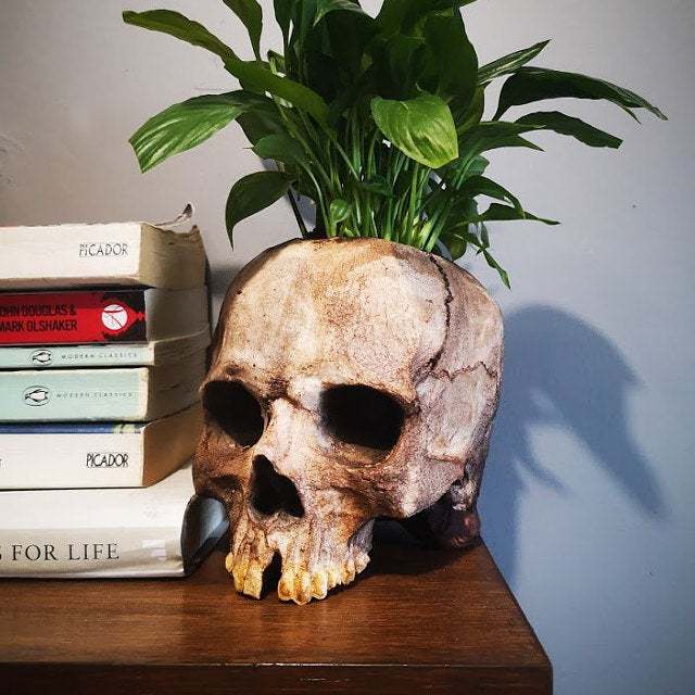 Halloween Skull Resin Planter Ornament – European Style Decorative Skull Pot