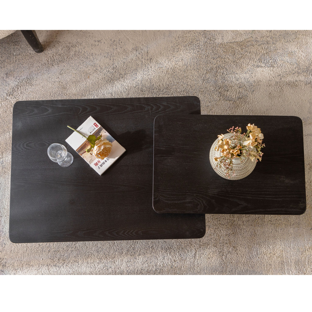 Vintage Square Coffee Table Set (Set of 2) – Black Wood Grain Finish